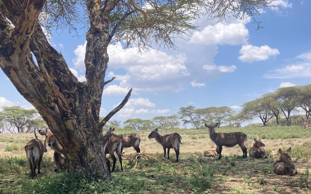 Weekend Retreats — 3 day retreat art experience in Kenya